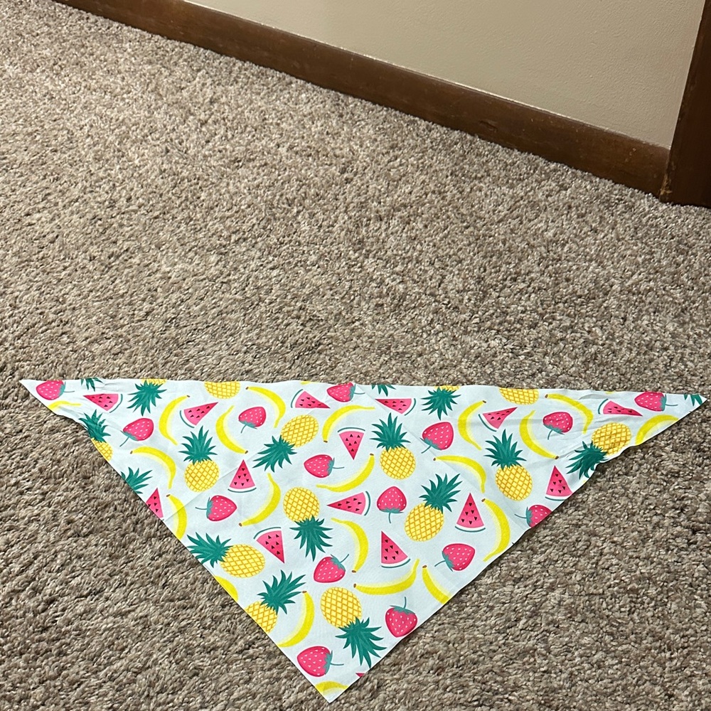 Pet bandanna